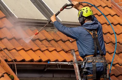 Démoussage et hydrofuge de toiture au Pasquier